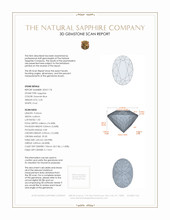 Jewelry 3 D Scan Report