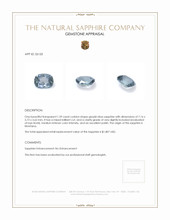 Jewelry Appraisal