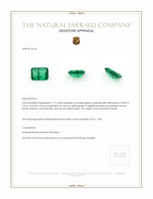 1.17 Ct. Emerald from Brazil Appraisal