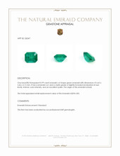 0.99 Ct. Emerald from Brazil Appraisal