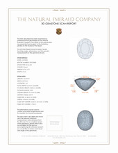 Jewelry 3 D Scan Report