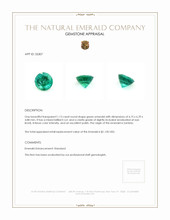 1.13 Ct. Emerald from Zambia Appraisal