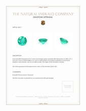 0.67 Ct. Emerald from Zambia Appraisal