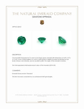 0.75 Ct. Emerald from Zambia Appraisal