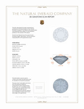 Jewelry 3 D Scan Report