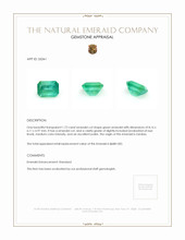 Jewelry Appraisal