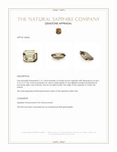 1.21 Ct. Brown Sapphire from Ceylon (Sri Lanka) Appraisal