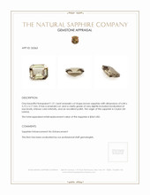 1.21 Ct. Brown Sapphire from Ceylon (Sri Lanka) Appraisal