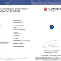 10.03 Ct. Blue Sapphire from Ceylon (Sri Lanka) Scan Report
