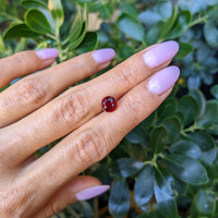 2.20 Ct. Ruby from Mozambique Life Style