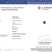 7.28 Ct. Blue Sapphire from Ceylon (Sri Lanka) Scan Report