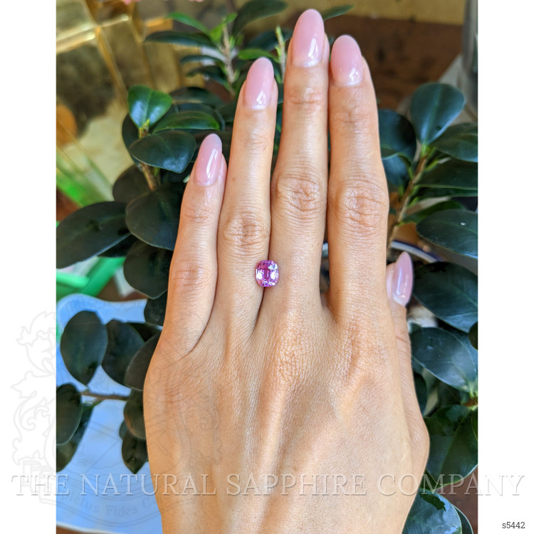 2.06 Ct. Pink Sapphire from Ceylon (Sri Lanka)