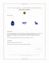 0.96 Ct. Blue Sapphire from Ceylon (Sri Lanka) Appraisal