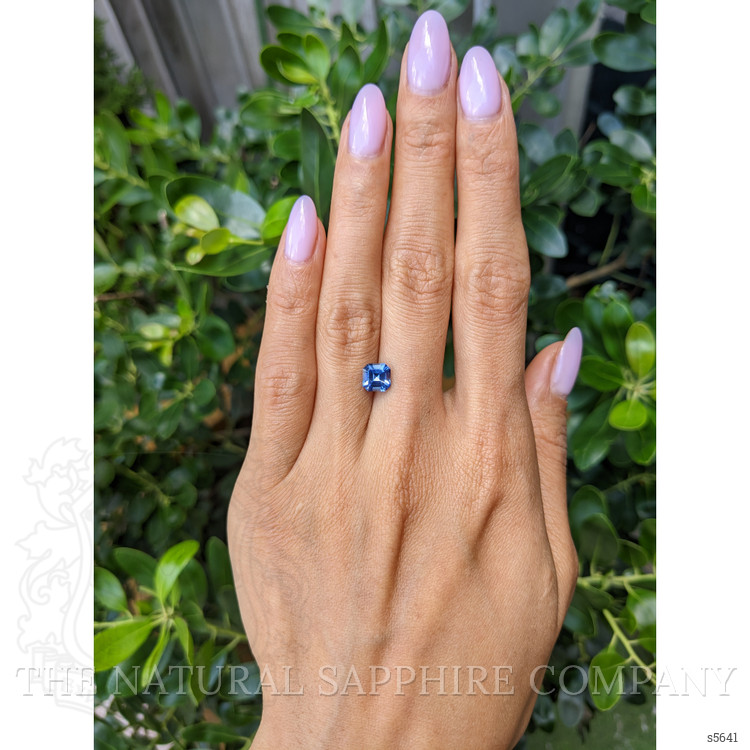 1.64 Ct. Blue Sapphire from Ceylon (Sri Lanka)