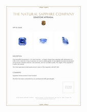1.23 Ct. Blue Sapphire from Ceylon (Sri Lanka) Appraisal