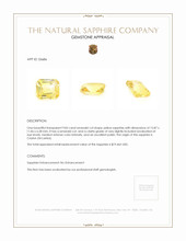 9.83 Ct. Yellow Sapphire from Ceylon (Sri Lanka) Appraisal