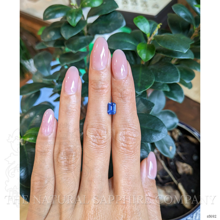 1.03 Ct. Blue Sapphire from Ceylon (Sri Lanka)