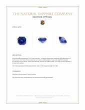 1.01 Ct. Blue Sapphire from Ceylon (Sri Lanka) Appraisal