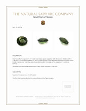 1.19 Ct. Green Sapphire from Ceylon (Sri Lanka) Appraisal