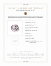 Jewelry Scan Report