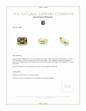 Jewelry Appraisal