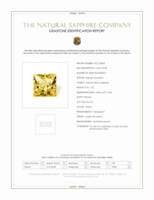Jewelry Scan Report