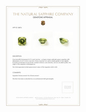 0.72 Ct. Yellowish Green Sapphire from Madagascar Appraisal