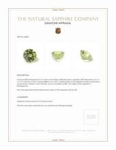 0.72 Ct. Yellowish Green Sapphire from Madagascar Appraisal