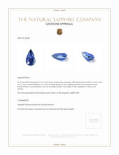 1.01 Ct. Blue Sapphire from Ceylon (Sri Lanka) Appraisal