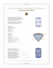 Jewelry 3 D Scan Report