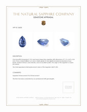 1.05 Ct. Blue Sapphire from Ceylon (Sri Lanka) Appraisal