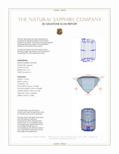 Jewelry 3 D Scan Report