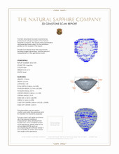0.73 Ct. Blue Sapphire and Natural Diamond Pave Ring, Platinum 950 3 D Scan Report