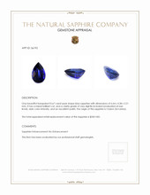 0.67 Ct. Blue Sapphire from Ceylon (Sri Lanka) Appraisal