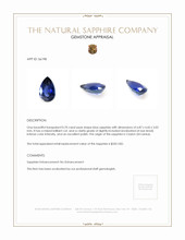 0.70 Ct. Blue Sapphire from Ceylon (Sri Lanka) Appraisal