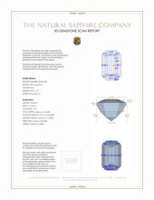 Jewelry 3 D Scan Report