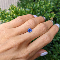 1.36 Ct. Blue Sapphire from Ceylon (Sri Lanka) Life Style