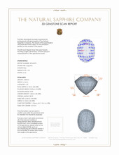 Jewelry 3 D Scan Report
