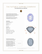 Jewelry 3 D Scan Report