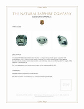 Jewelry Appraisal