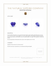 1.06 Ct. Bluish Purple Sapphire from Ceylon (Sri Lanka) Appraisal
