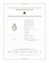 Jewelry Scan Report