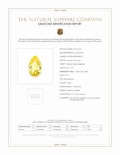 Jewelry Scan Report