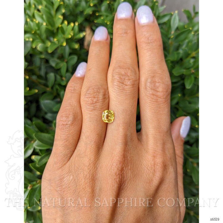 1.51 Ct. Yellow Sapphire from Ceylon (Sri Lanka)
