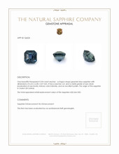 Jewelry Appraisal