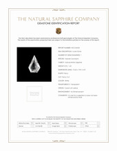 Jewelry Scan Report