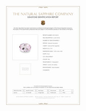 Jewelry Scan Report