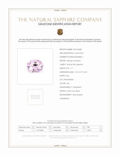 Jewelry Scan Report