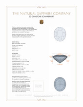 Jewelry 3 D Scan Report
