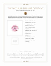 Jewelry Scan Report